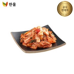 한울 겉절이1kg, 1개, 1kg