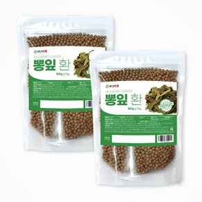 백장생 국산 뽕잎환 상엽환, 300g, 2개, 2개