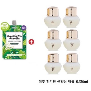 워시2/천기단 산양삼 앰플 오일5mlx6개, 6개, 5ml