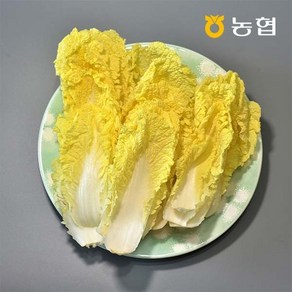 GAP인증 농협선별 쌈용 맛배추 400g