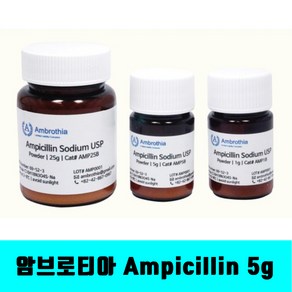 [클릭해바] Ampicillin sodium usp gade 암브로티아 AMP5B 5G 항생제 암피실린 파우더 미생물 실험 과학 감수성 내성 antibiotics 시약