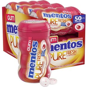 멘토스 퓨어 프레쉬 자일리톨 계피맛 껌 50개x6통 총300개 Mentos, 1개