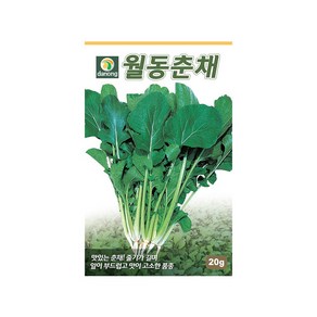 (DN) 월동춘채 씨앗(20g), 1개