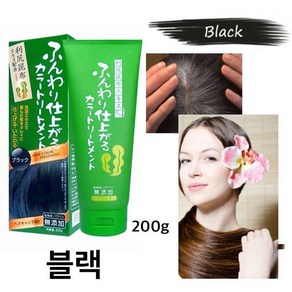 [1+1구성] 리시리 컬러 트리트먼트 헤어 새치 커버 염색 블랙, 리시리 블랙 200g, 200g, 2개