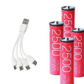 WINZONE USB C타입 충전 배터리 충전 건전지 AA 1.5V 1700mAh (2500mWh) 4P세트/동시충전 케이블/Li-ion