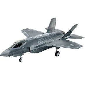 TAMIYA 타미야 61124 1/48 걸작기 시리즈 No.124 록히드 마틴 F-35A 라이트닝II, 1개