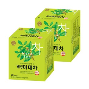 송원 웰빙 마테차, 0.8g, 40개입, 2개