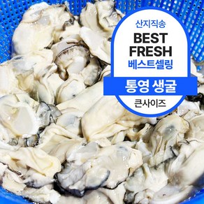 [근기네] 최상급 통영 생굴 산지 프리미엄, 1개, 생굴(중대) 1kg