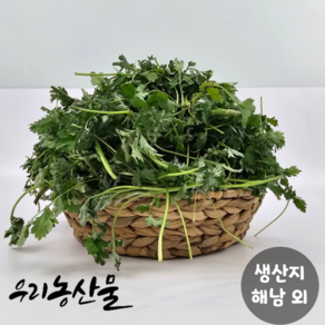 노지 자연산 쑥, 1개, 500g