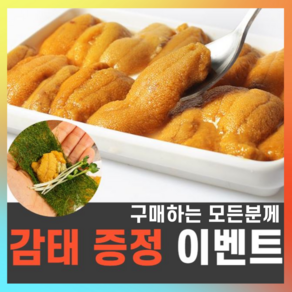 [성게아빠] 국내산 성게알 우니 자연산 보라성게 말똥성게 홈마카세