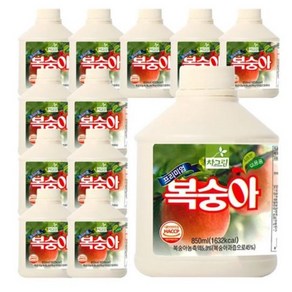 차그림 복숭아 원액 850ml