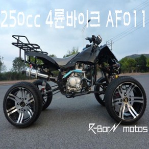 R-BON 4륜바이크 250cc AF011