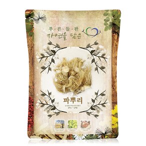 푸른들판 국내산 말린 파 뿌리, 300g, 1개