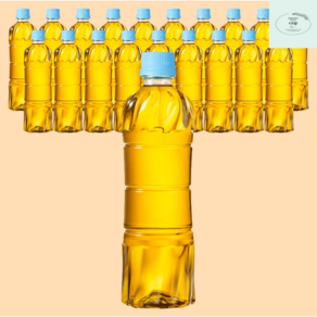 하늘보리 에코 무라벨, 500ml, 24개, 1개입