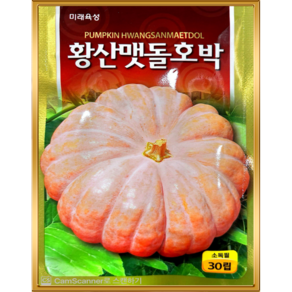 늙은호박씨앗 황산맷돌호박 30립, 01.늙은호박, 1개