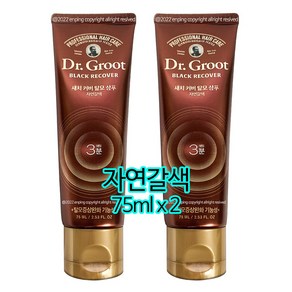 닥터그루트 블랙리커버 새치커버 샴푸 자연갈색 75ml 2개