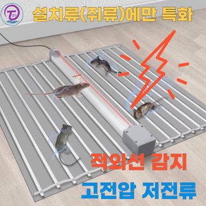 티고쥐퇴치왕 깔끔한 고압 쥐퇴치기 쥐덫 쥐박멸기 G076, 50cm형