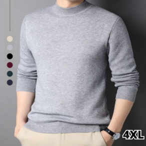 델리안 1+1 겨울 남성 부드러운 반목폴라 티셔츠 ( 6colo / 4XL)