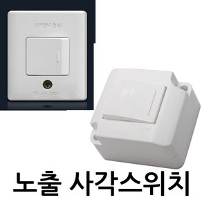 현대 노출 사각스위치, 1개