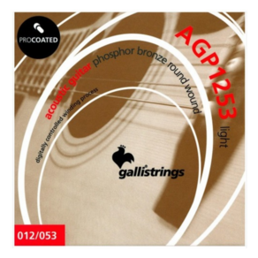 갈리 코팅 파스퍼 브론즈 통기타줄 Gallistrings AGP1253 라이트 (012-053)