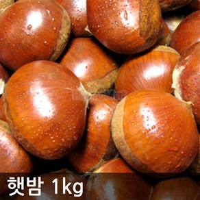 2024년 햇밤 (대) 충남 공주산 알밤, 2개, 1kg