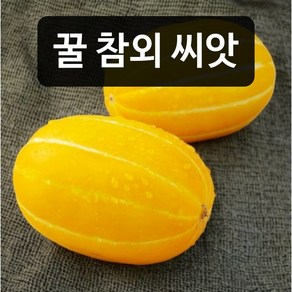 참외 씨앗 50립 판매 고당도 꿀 참외씨 종자심기 파종재배, 1개