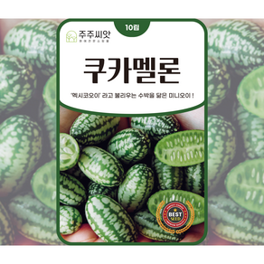 [주주씨앗] 아진종묘 쿠카멜론씨앗 10립 멕시코오이 미니오이 종자 씨 희귀 이색 종자 품종 작물, 1개