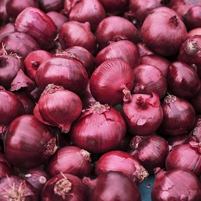 [대아프레시] 아삭한 적양파 무안양파 자색양파 Red Onion, 1박스, 소-중사이즈 3kg