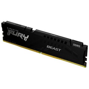 킹스톤 퓨리 비스트 Kingston FURY Beast 16GB (데스크탑 메모리 KF552C40BBK2-32), 램만, 검은색, 5200MT/s