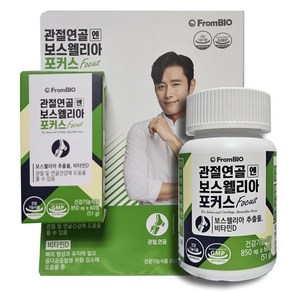 관절연골엔 보스웰리아 포커스 850mg, 1개, 60정