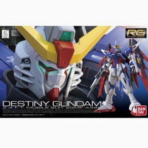 반다이 [RG_11] ZGMF-X42S DESTINY GUNDAM_데스티니 건담 프라모델, 1개