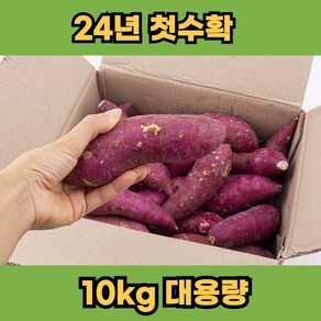 [대용량]햇밤고구마 퍽퍽한 해남 황토 고구마, 특/특상[품질보장 햇밤고구마], 1개, 10kg