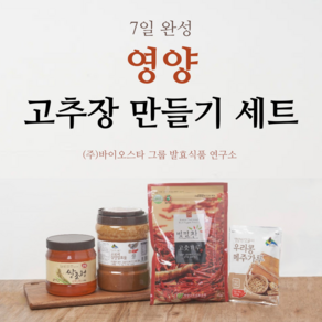 경북 영양산 100% 명품 고추장 만들기 세트 4kg, 1개