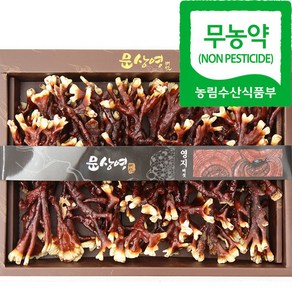 [문상영 버섯] 무농약 녹각영지버섯 500g