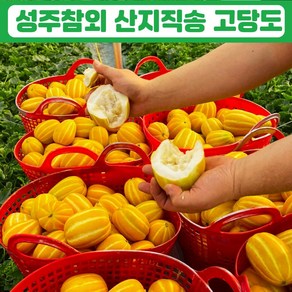 성주 참외 가정용, 1박스, 1kg(혼합과)