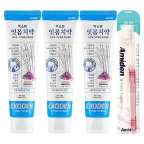 엑소덴 잇몸 치약 칫솔, 3개, 120g