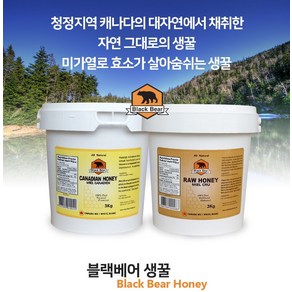 블랙베어 꿀 캐나다 프리미엄 허니 생꿀 3KG 직배송, 크림꿀 Ceamed, 1개