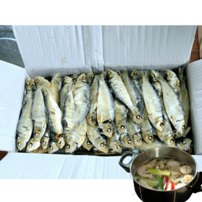 햇 디포리 육수용 밴댕이 1.5kg, 1개