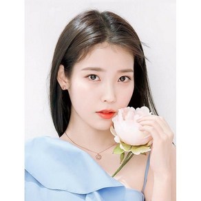 DIY 보석십자수 연예인 아이유 이지은 굿즈 diy 전체수 22-0529191, 80*105cm, 원형, 1개