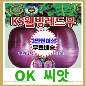 [OK씨앗] [KS웰빙레드무] 무씨앗(오케이씨앗), 1개