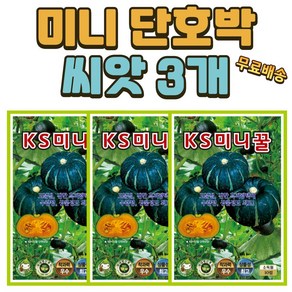 미니 단호박 씨앗 3개(10립x3) 호박씨앗, 3개