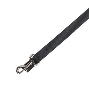 Zack & Zoey Basic Nylon Dog Leash 6-Feet x 1-Inch Lead Zack & Zoey 기본 나일론 개 목줄 6피트 x 1인치 리드 제트 블, Jet Black, 1개