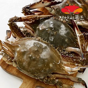 장안씨푸드 국내산 가을 햇꽃게 숫꽃게 특대 대사이즈 급냉, 2kg, 1개, 2키로(5-8마리)