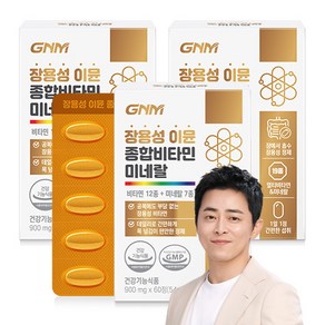 [박스당 2개월분] GNM 장용성 이뮨 종합비타민 미네랄 / 멀티비타민 비타민A B C D E, 60정, 3개