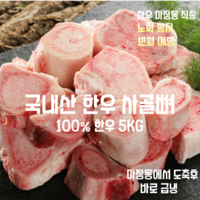 [마장동 직송] 국내산 자연산 A등급 100% 한우 사골뼈 5kg, 1박스