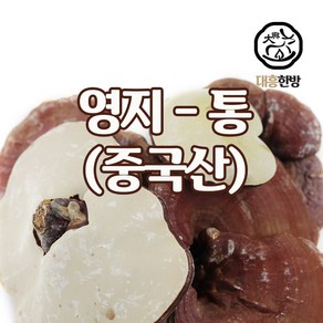 대흥한방 영지버섯(통) 중국산 500g, 1개