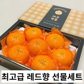 산지직송 제주 프리미엄 고당도 레드향 선물세트, 1박스, 3kg