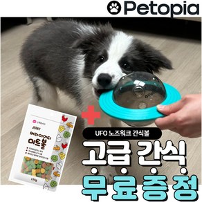 [펫토피아] 강아지 고양이 노즈워크 장난감 고급간식 무료증정, 민트, 1개