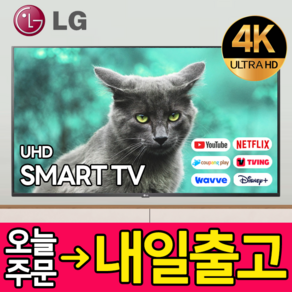 LG전자 43인치 109cm(43) 4K UHD 스마트 LED TV