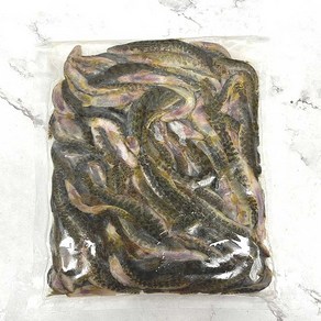 (배터짐) 물고기의 명품맛 연변 돌쫑개 세치네탕 재료, 1개, 500g